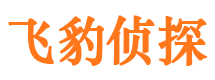 德阳找人公司